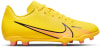 Nike Vapor 15 Club FG/MG Fußballschuhe