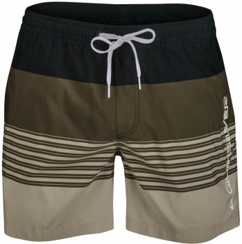 Quiksilver DESERT POINT VL 15 koupací kraťasy