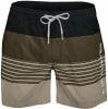 Quiksilver Desertpoint 15 Badeshorts