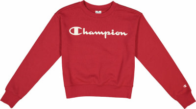 Champion Pullover