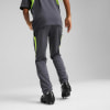 Puma IndividualLIGA Trainingshose
