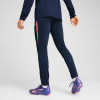 Puma IndividualLIGA Trainingshose