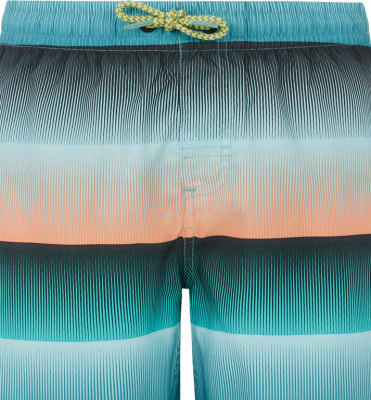 Protest Prtray Beachshort