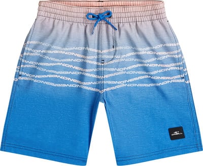 Badeshorts mit Ombre-Muster und O'Neill-Logo.