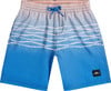 Badeshorts mit Ombre-Muster und O'Neill-Logo.