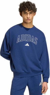 Eine blaue Adidas-Sweatshirt mit Logo und Schriftzug auf der Brust, getragen von einem jungen Mann.