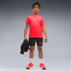 Puma Active Sports Poly Short