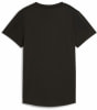 Puma Tad Essential T-Shirt