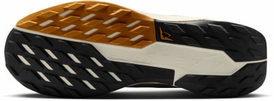 Nike Pegasus Trail 5 GTX Traillaufschuhe