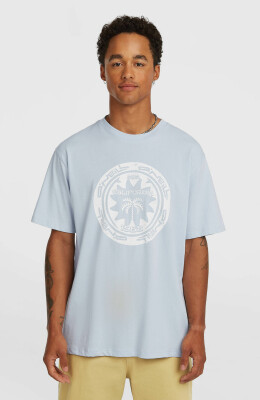 O'Neill Musthave Graphic T-Shirt