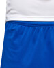 adidas Parma 16 rövidnadrág