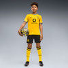 Puma BVB Shorts Replica Fanshort