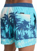 Quiksilver Everyday Badeshorts