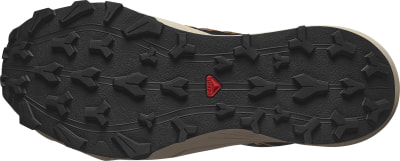 Salomon Thundercross GTX Traillaufschuhe