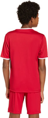 Junge in rotem T-Shirt und Shorts von hinten auf weißem Grund. Junge in rotem T-Shirt und Shorts von hinten auf weißem Grund.