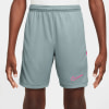 Nike Academy25 Dri-FIT Shorts