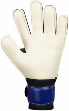 River Basic RC Protection Torwarthandschuhe