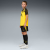 Puma BVB Shorts Replica w/B Fanshort
