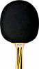 Donic-Schildkröt Top Team 500 Tischtennisschläger