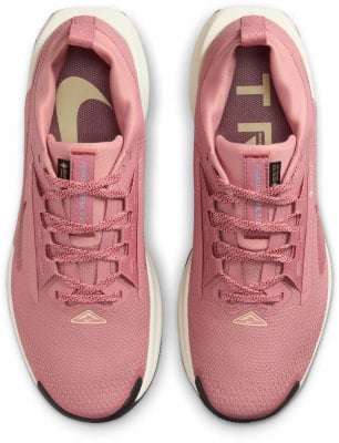 Nike Pegasus Trail 5 GTX Traillaufschuhe