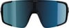 Schwarze Skibrille mit blauen Spiegelscheiben und Alpina-Logo.