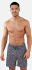 Barts Ingleses Shorts Badeshort