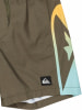 Quiksilver Everyday Holmes Badeshorts