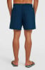 O'Neill Logo Badeshorts