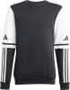 adidas SQ25 SW CREW Y Sweater