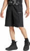 adidas Terrex Xploric Shorts