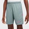 Nike Academy25 Dri-FIT Shorts