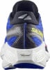 Salomon Aero Glide 4 Laufschuhe