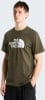 The North Face THE NORTH FACE M Evolution Dome Regular ShortShirt 100% Baumwolle