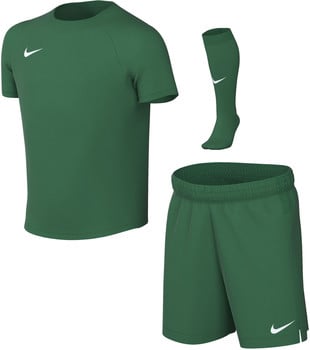 Grünes Nike Fußball-Set mit kurzärmeligem Trikot, Shorts und Socken.