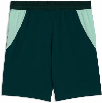 Puma ÖFB 2026 Fußballshorts Replica