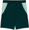 Puma ÖFB 2026 Fußballshorts Replica