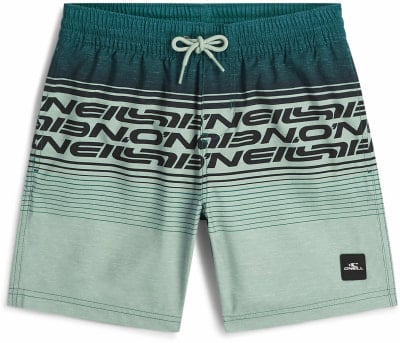O'Neill Logo Stripe Badeshorts
