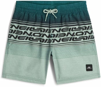 O'Neill Logo Stripe Badeshorts