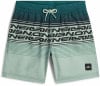 O'Neill Logo Stripe Badeshorts