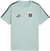 Hellblaues T-Shirt mit Puma-Logo, KING-Schriftzug und österreichischem Fußballwappen.