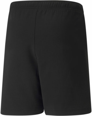 Puma Teamrise Shorts
