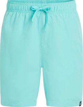 Firefly Ken III Badeshorts
