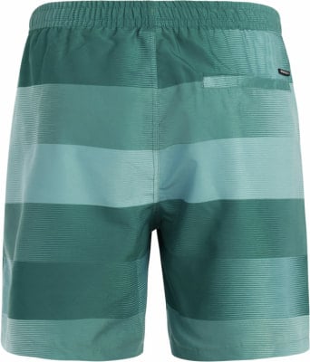 Protest PrtLomond Badeshorts