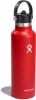 Hydro Flask 21 oz Standard Mouth Flex Straw Cap Thermosflasche