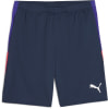 Puma IndividualLIGA Trainingsshorts