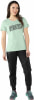 Dynafit Graphic Cotton T-Shirt