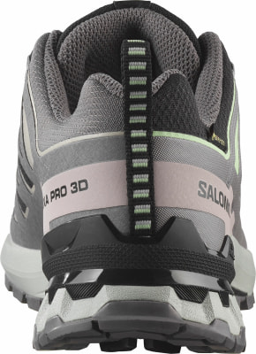 Salomon XA Pro 3D V9 GTX Traillaufschuhe