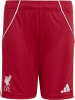 adidas FC Liverpool FC 25/26 Heimshorts