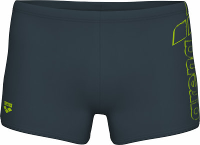 Arena Scratchy Swim Badehose lang