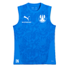 Blaues ärmelloses Puma-Shirt mit Vereinslogo und Aufschrift IN.